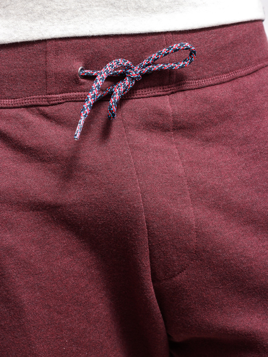 Element Shorts Cornell WK (oxblood)