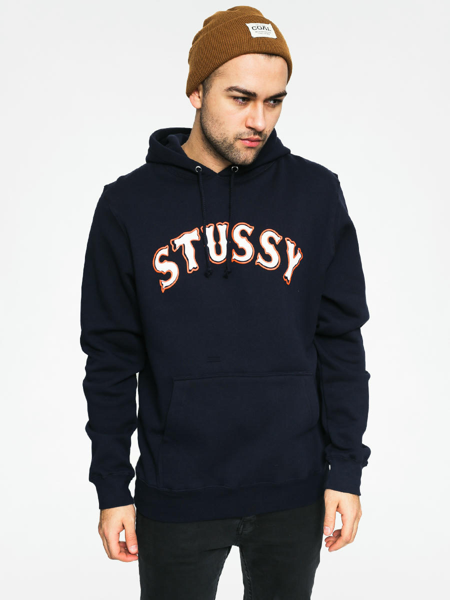 stussy rainbow hoodie