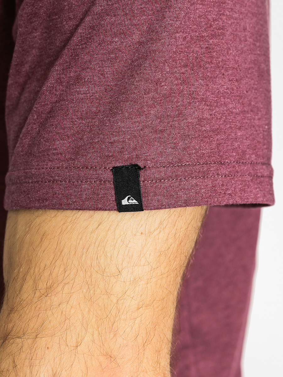 Quiksilver T-shirt Babo Troule (burgundy)