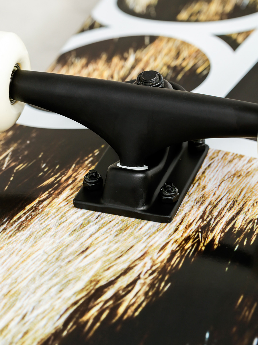 Plan B Skateboard Coprdchy (black/white)