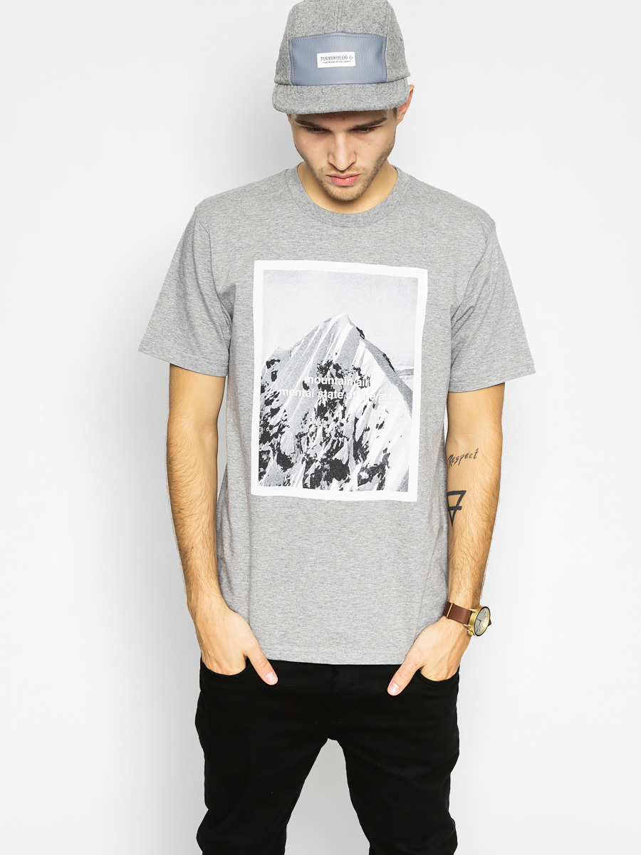 carhartt mountain t shirt