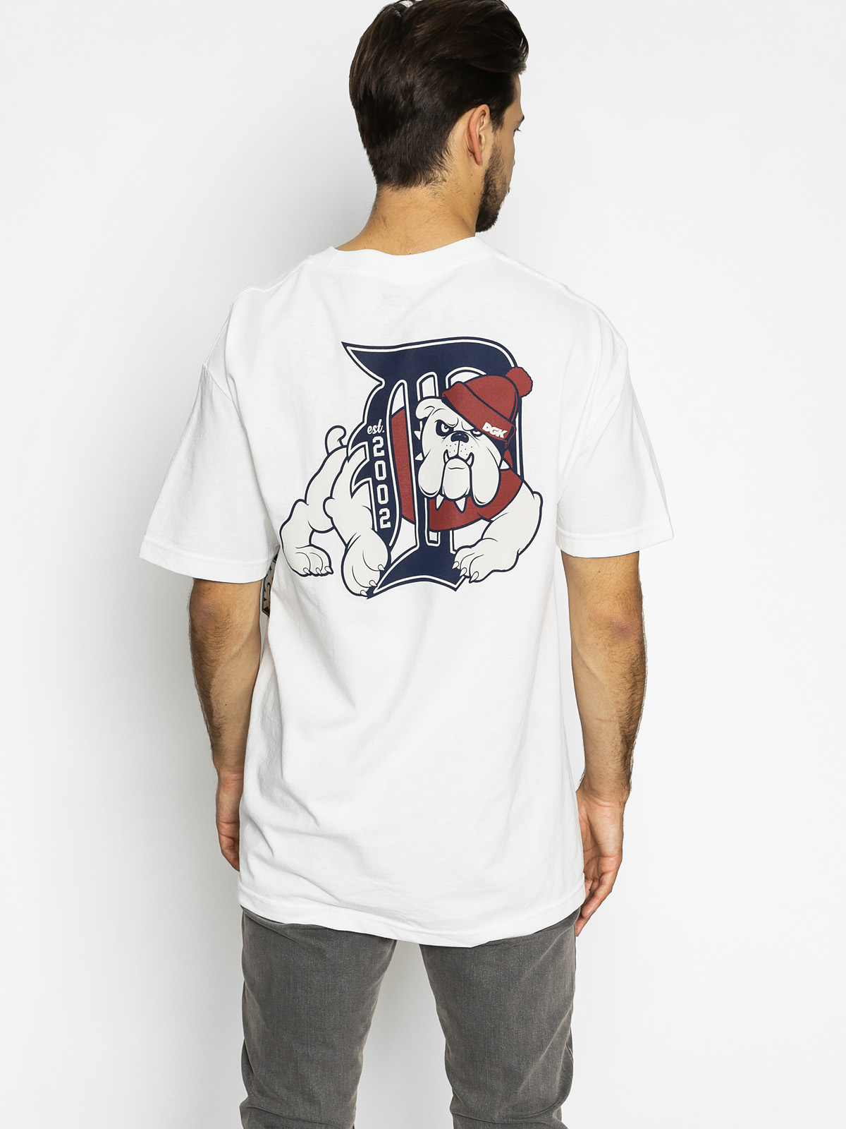 DGK T-shirt Bully (white)