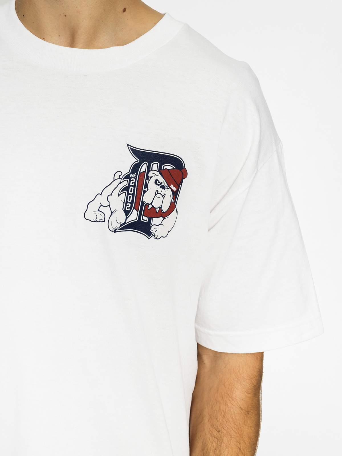 DGK T-shirt Bully (white)