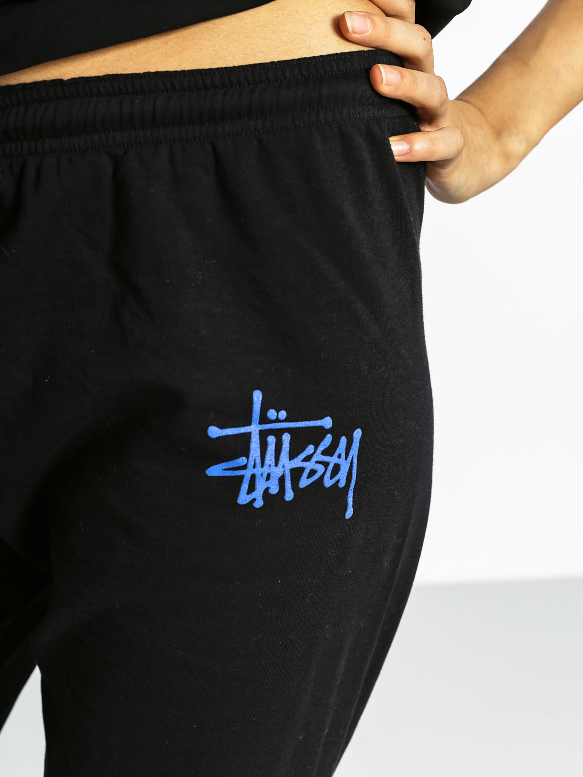Stussy Pants Basic Drs Wmn (black)