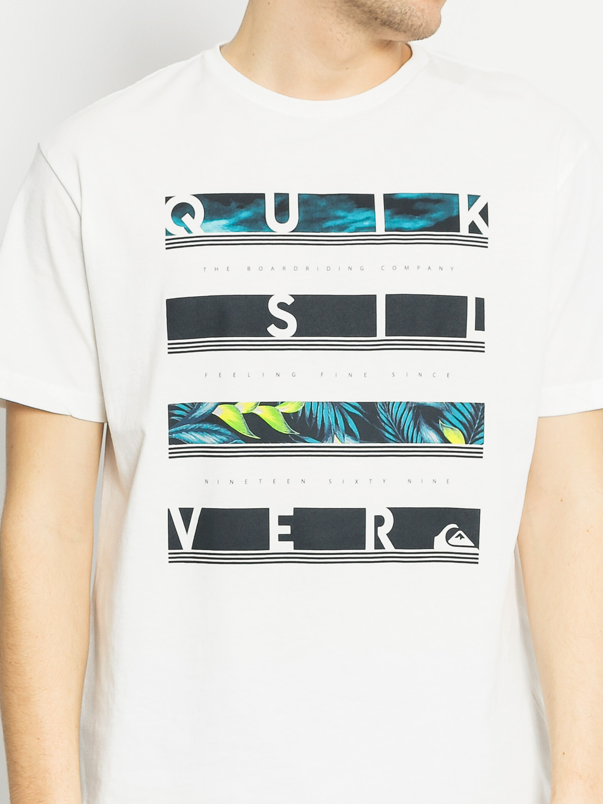 Quiksilver T-Shirt Read Between (white)