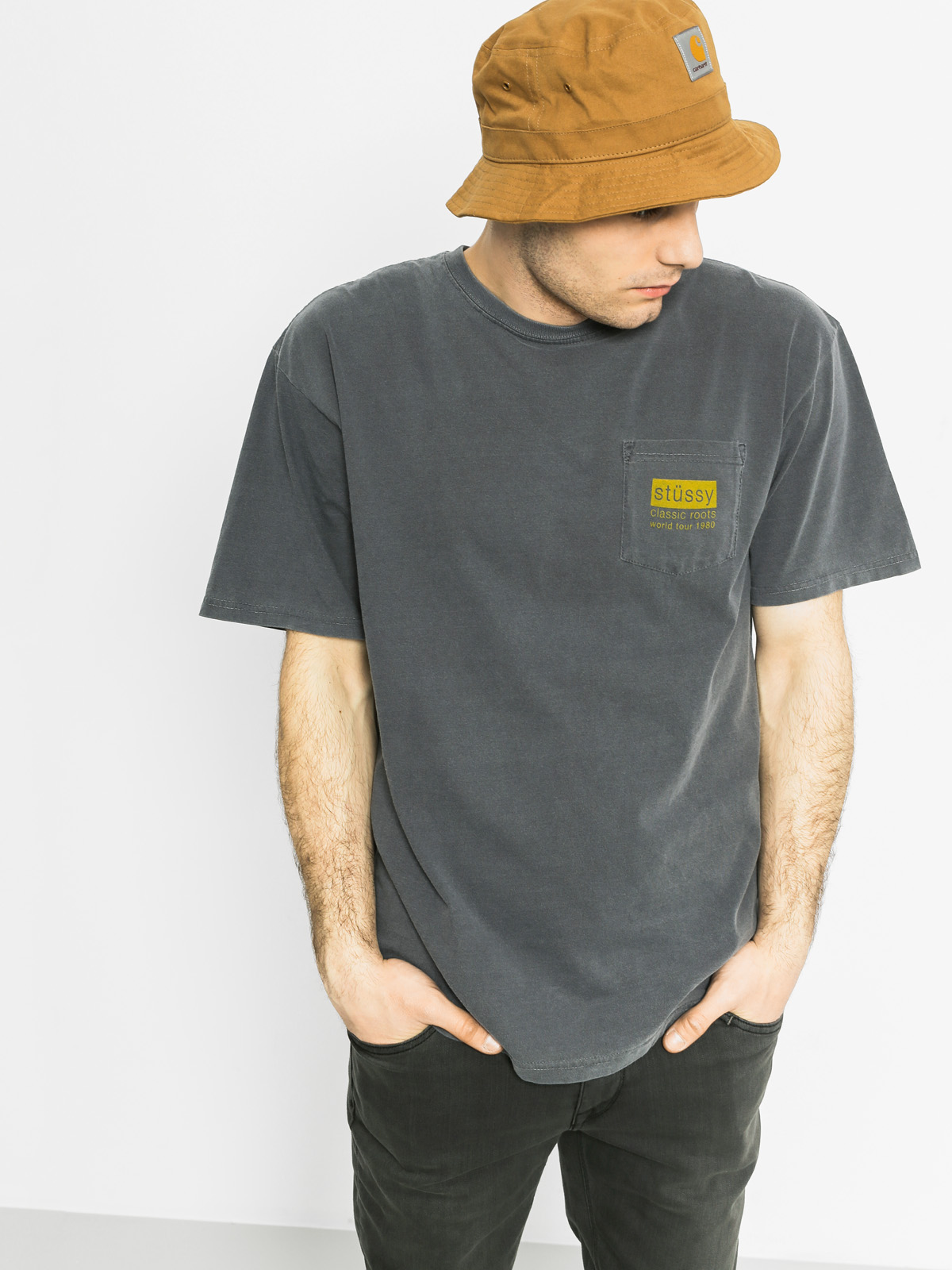 Stussy T-shirt Classic Roots Pig Dye Pkt - grey (black)