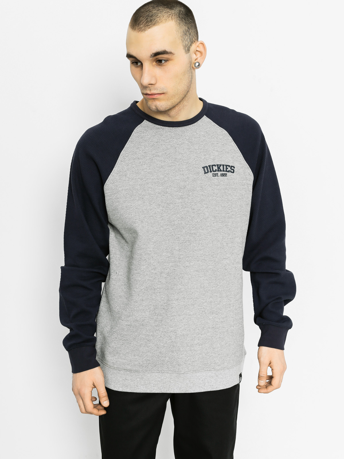 Dickies Sweatshirt Hickory Ridge (dark navy)