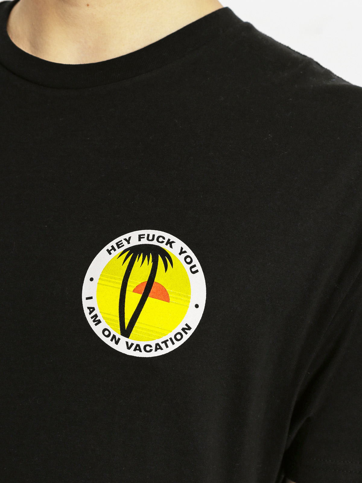 Diamond Supply Co. T-shirt Vacation (black)