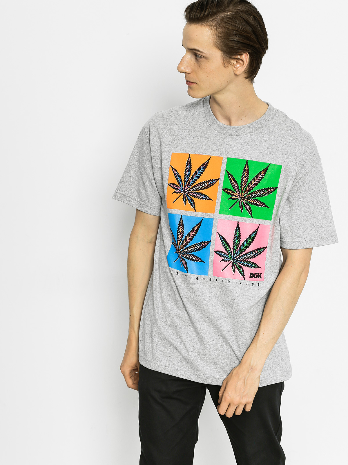 DGK T-Shirt Pop (grey)