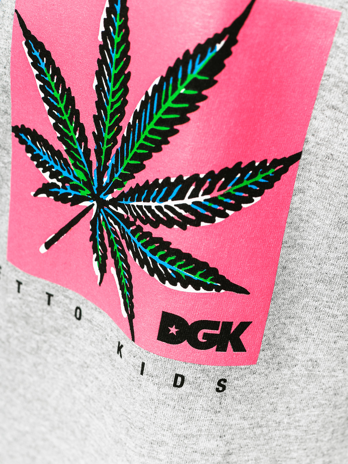 DGK T-Shirt Pop (grey)