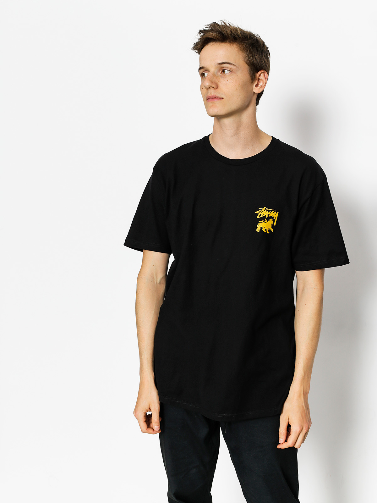 Stussy T-shirt Stock Lion (black)