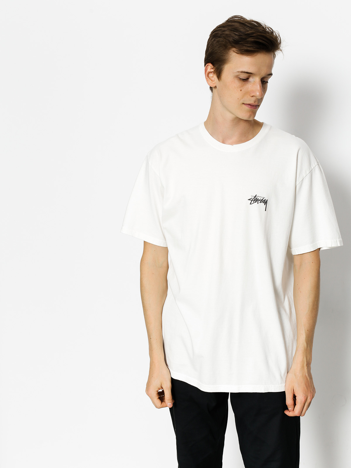 Stussy T-Shirt Warrior Pig Dyed (natural)