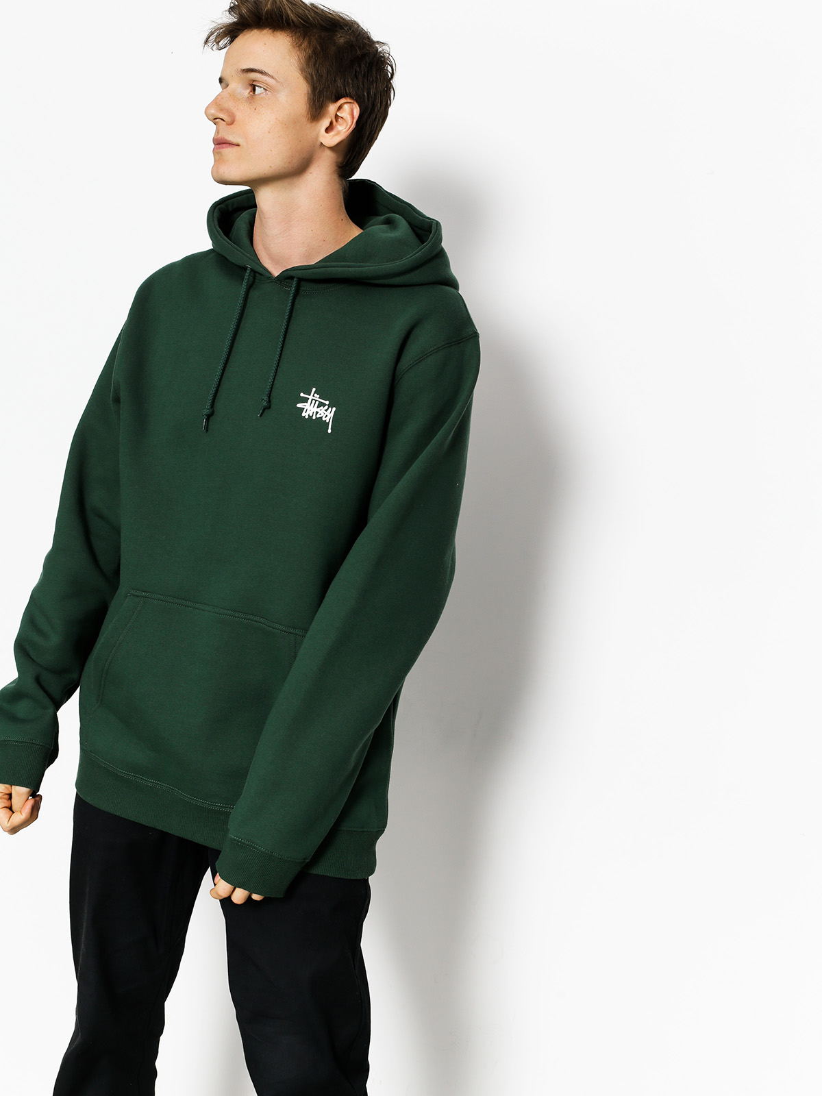 Stussy Hoodie Basic HD (dark forest)