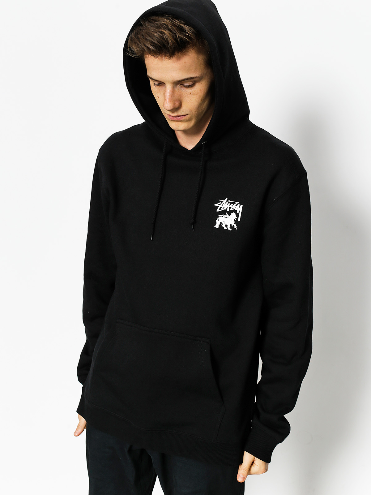 Stussy Hoodie Stock Lion HD (black)