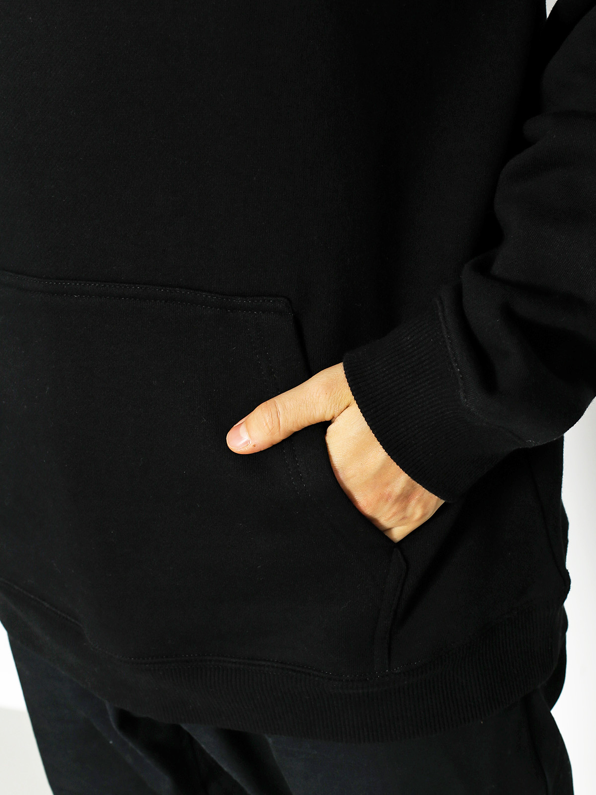 Stussy Hoodie Stock Lion HD (black)