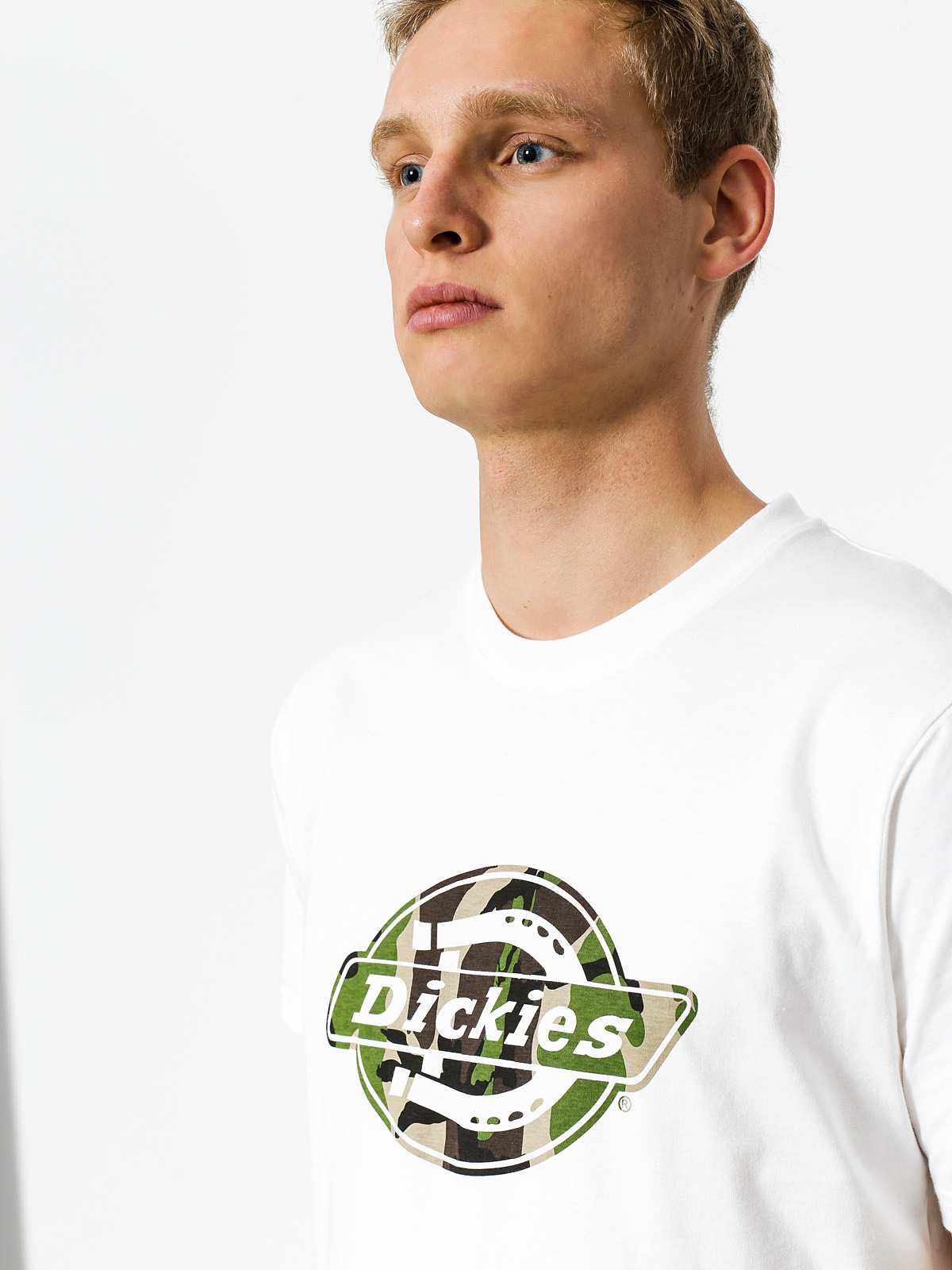 Dickies T-Shirt HS One Colour (white)
