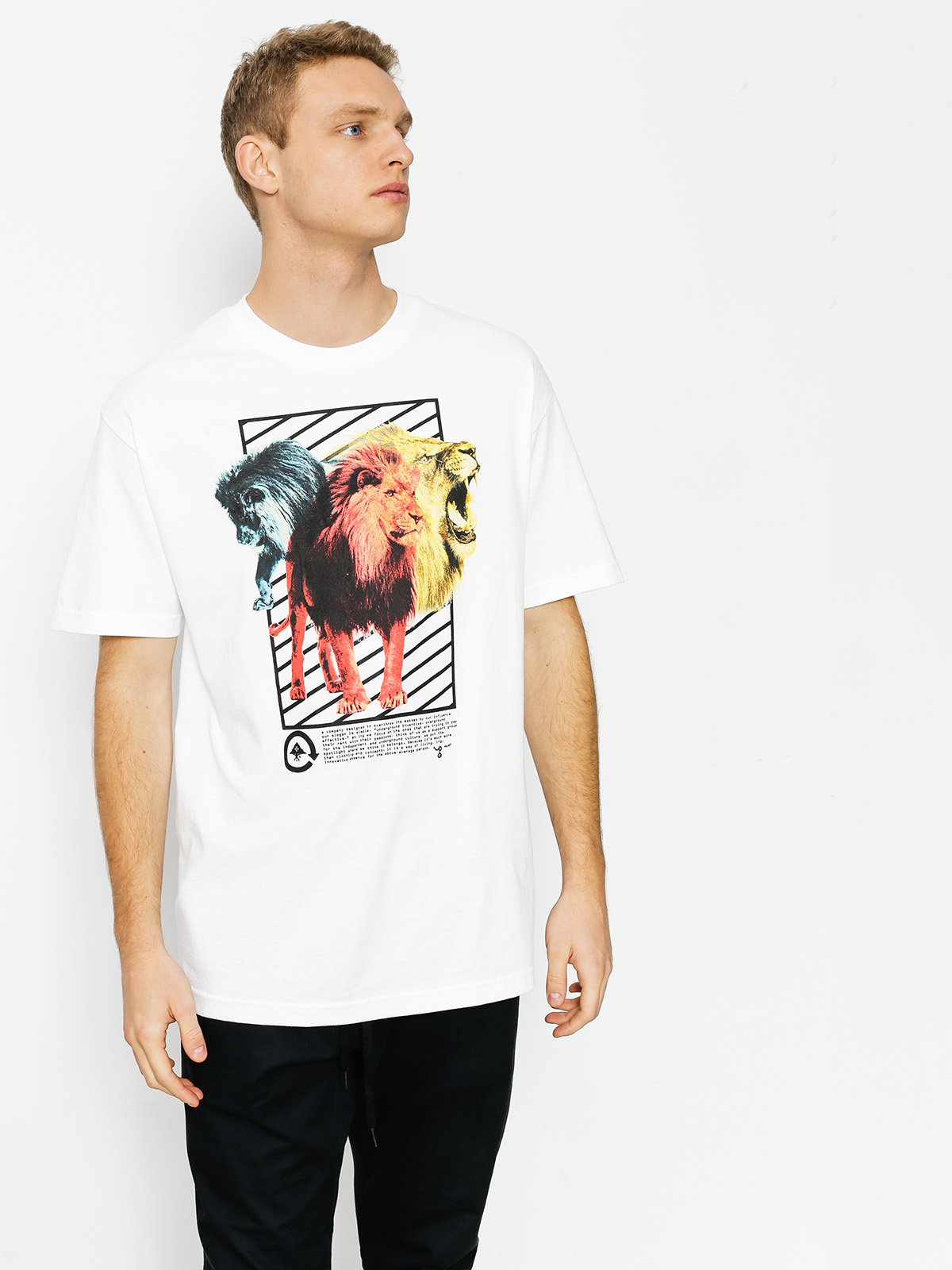 LRG T-shirt Three s A Lion (white)