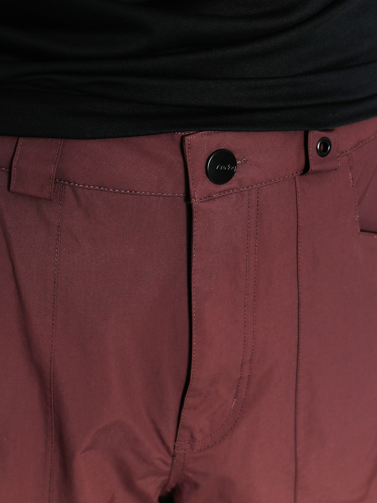 Mens Analog Snowboard pants Anthem (opium)