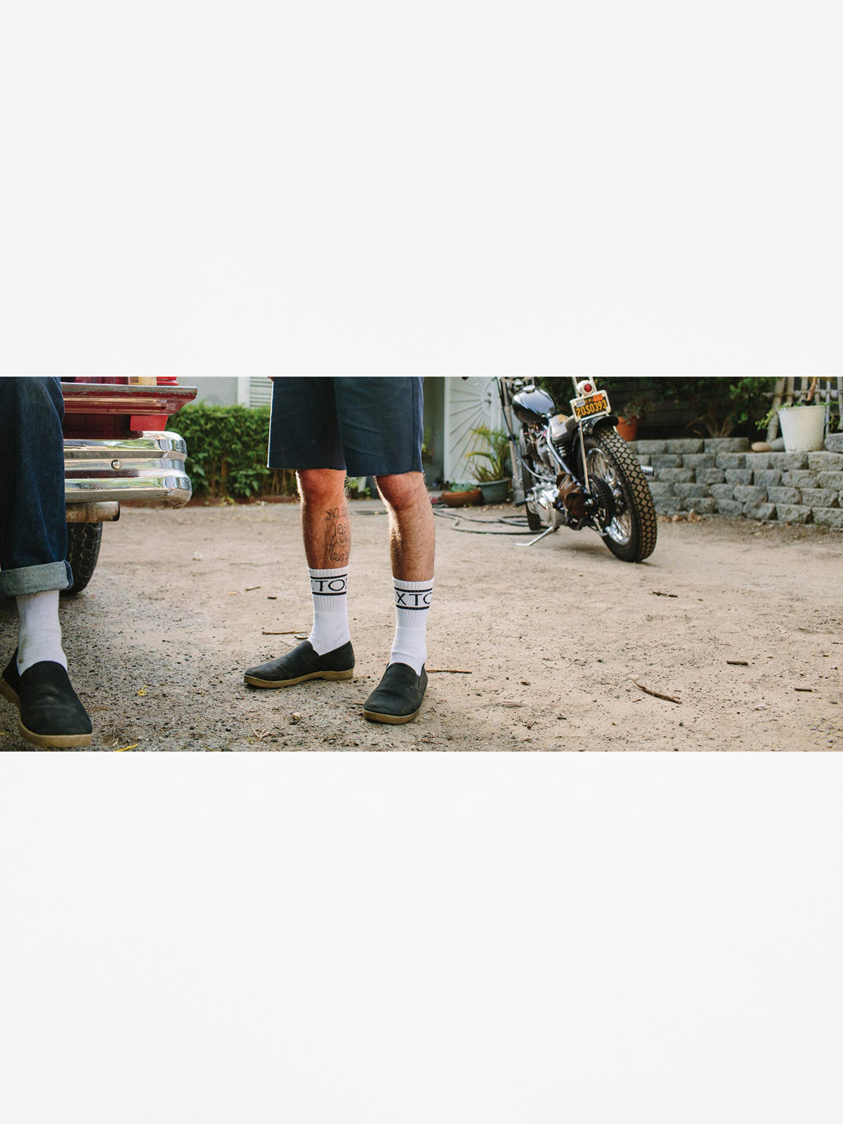 Brixton Socks Tanner (white/black)