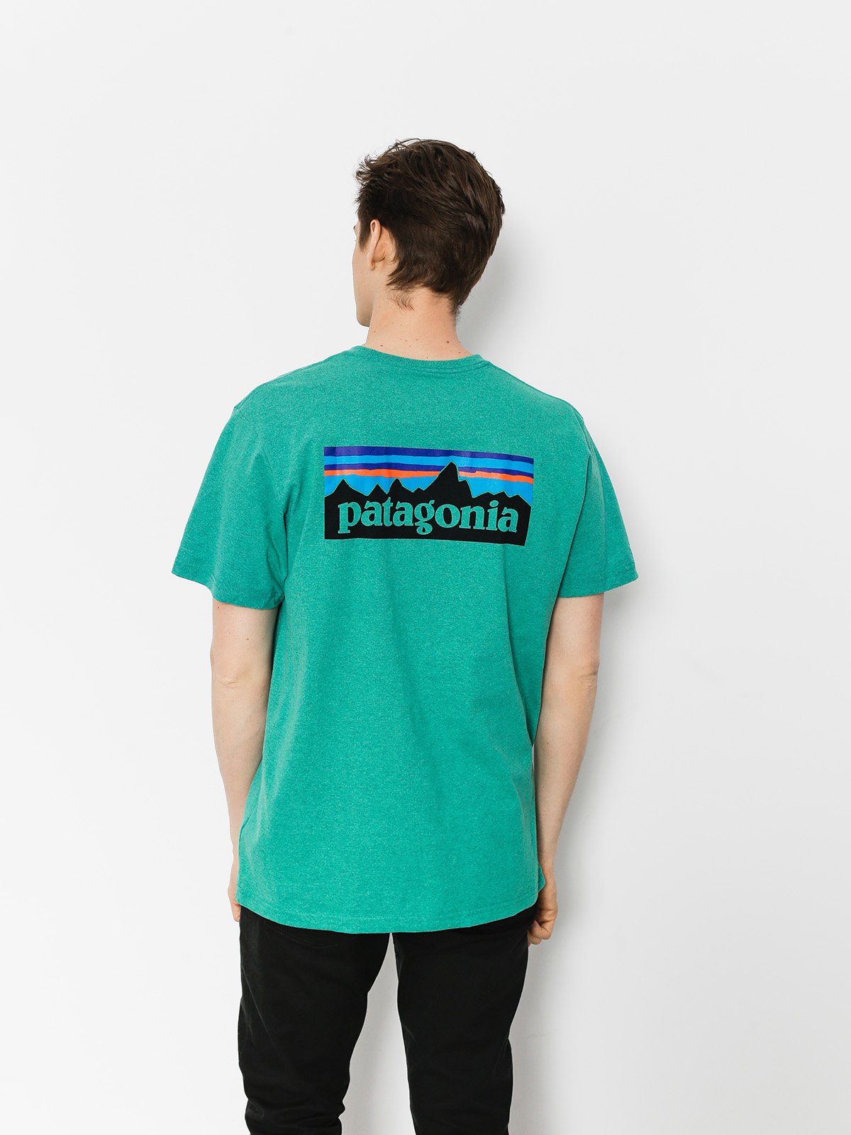 patagonia green tshirt