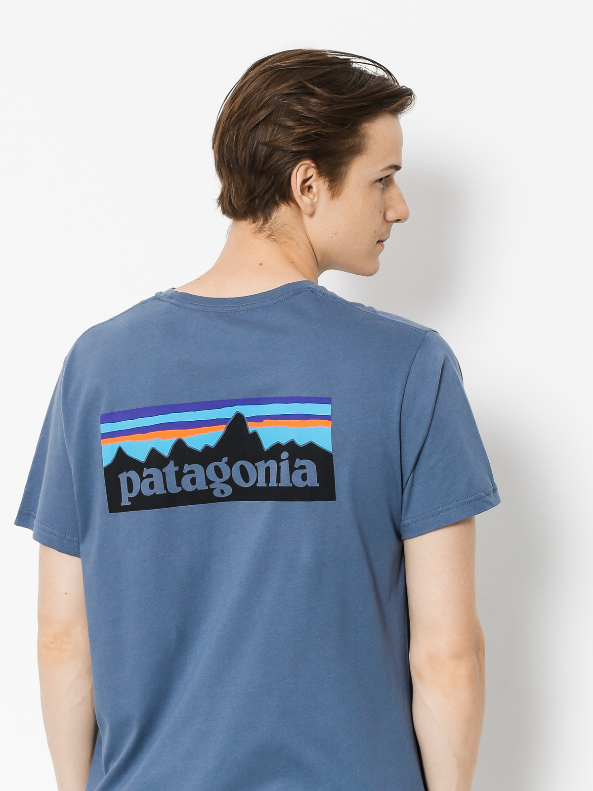 Patagonia T-shirt Logo Organic (dolomite blue)