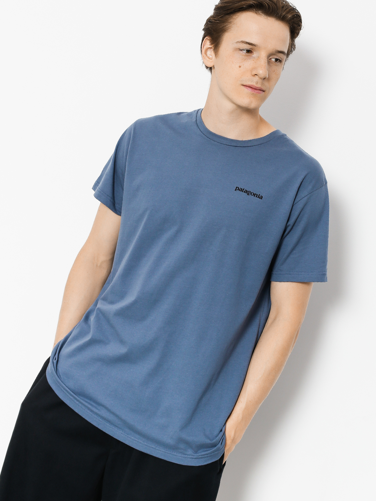 Patagonia T-shirt Logo Organic (dolomite blue)