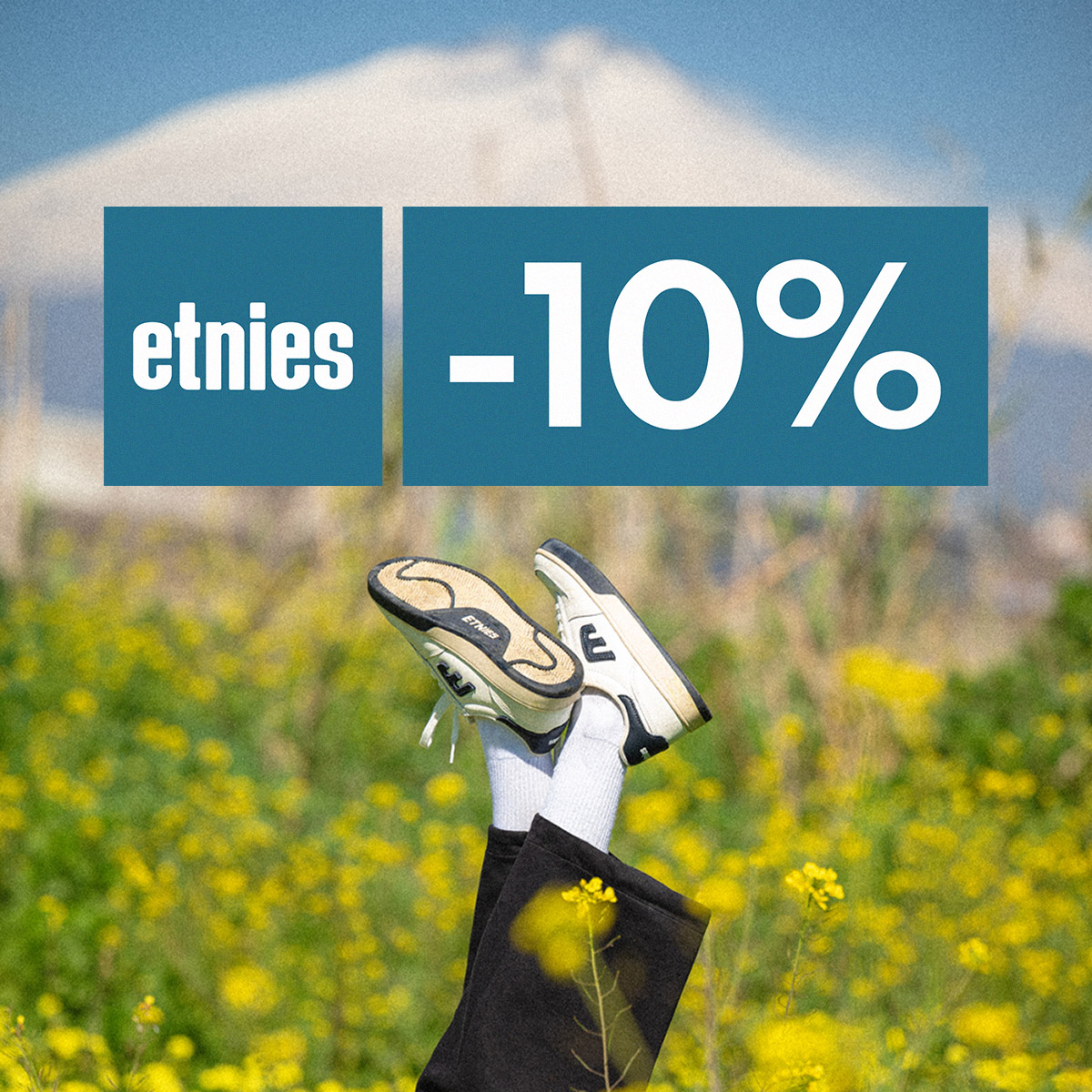 10 % Rabatt auf die Marke Etnies! Nur noch bis Sonntag!